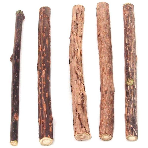 

cat toys 5 pc cute stick chew toy dental health kitten brush teeth pet treat