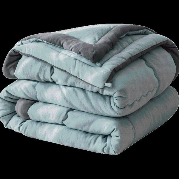 

soybean fiber winter quilt thickened warm comforters & sets