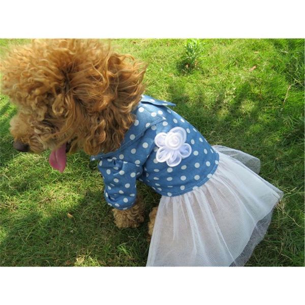 

the dog clothes dog pet spring summer autumn clothing bubble sleeve lace dress
