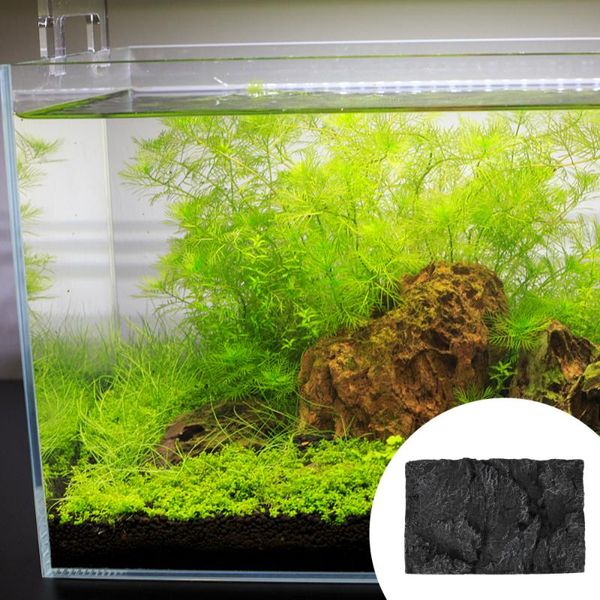 

aquariums aquarium background board fish tank 3d