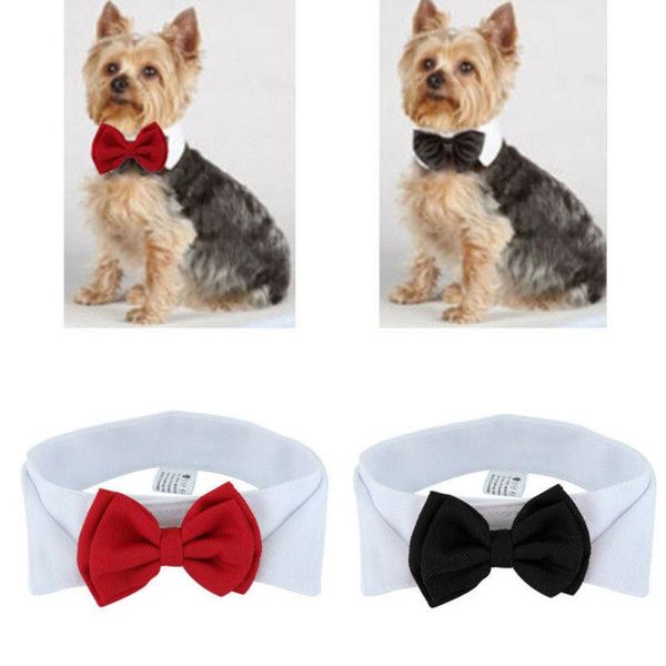 

dog collars & leashes 2021 adjustable bow tie-collar bowknot clothes pet puppy kitten cat necktie tie cute neck collar accessory