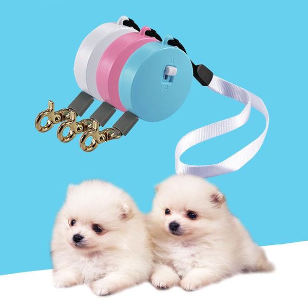 

dog collars & leashes mini durable pet leash retractable cat walking training automatic nylon puppy kitty rope belt supplies