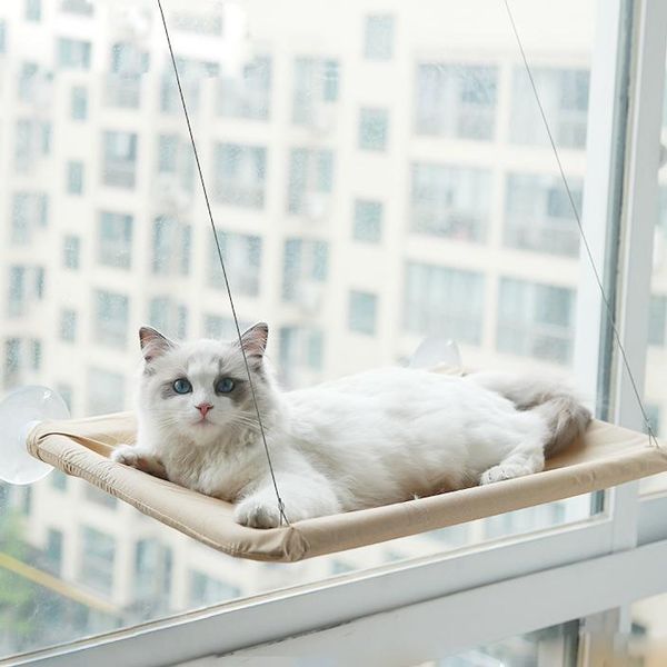 

cat hammock pet suction cup hanging window house swing nest cats products for pets bearing comfortable fashion throne beds & furniture