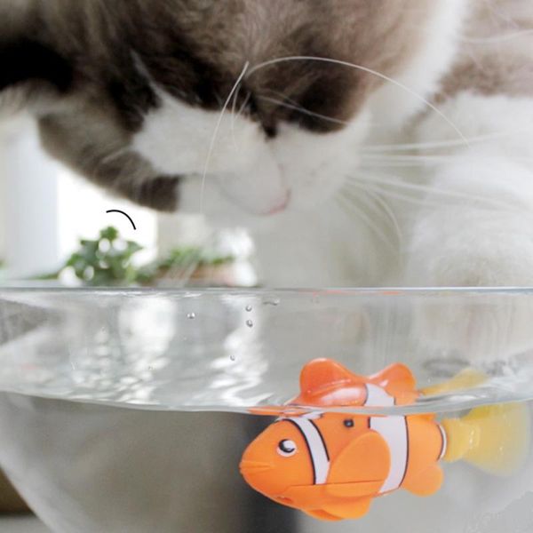 

battery-powered fish, cat toy fish toys