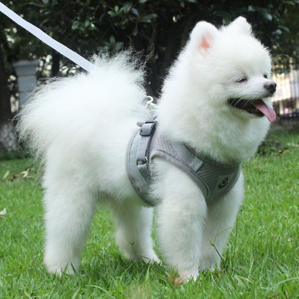 

pet puppy dogs harness and leash set reflective cat breathable mesh vest chest strap collar dog accessories collars & leashes