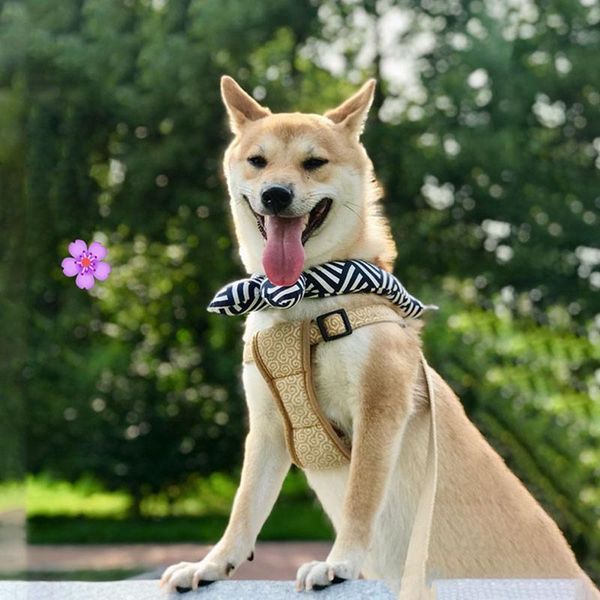 

japanese style pet dog scarf cat bow tie adjustable size bandana collar grooming accessories cotton collars & leashes