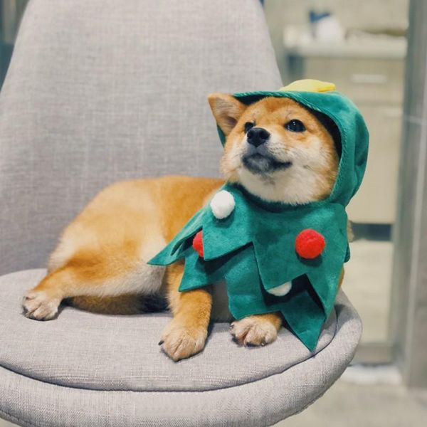 

pet christmas tree shawl clothes comfortable breathable adjustable suitable for holiday party dress funny clothing cat costumes