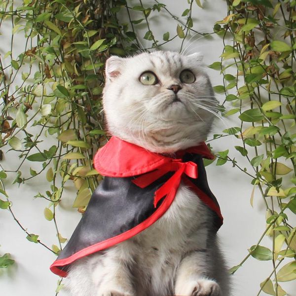 

cat costumes 1pc black color cloak parrot cape clothes small dogs cosplay pet supplies neck circle size 22cm
