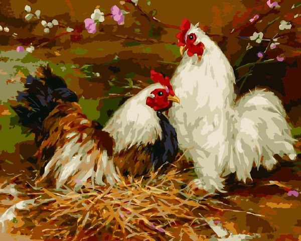

paintings oil painting by numbers with cock animal diy picture wall decoration