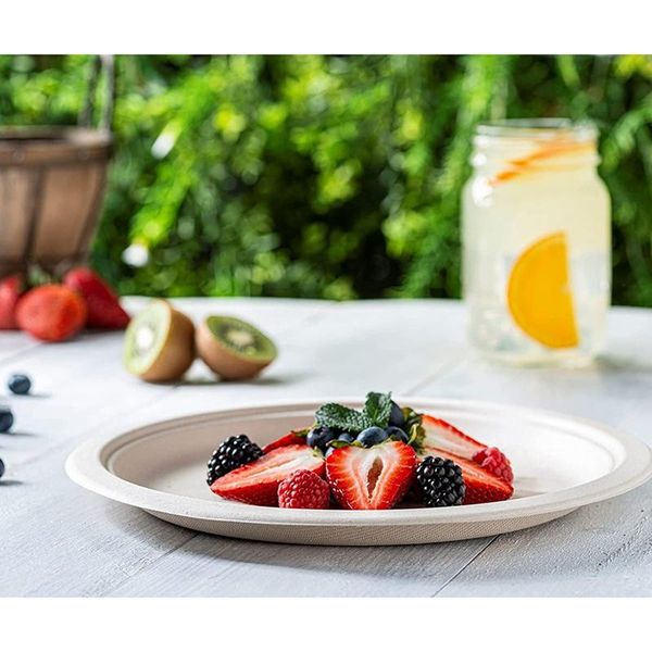 

dishes & plates compostable heavy-duty eco-friendly disposable sugarcane paper biodegradable