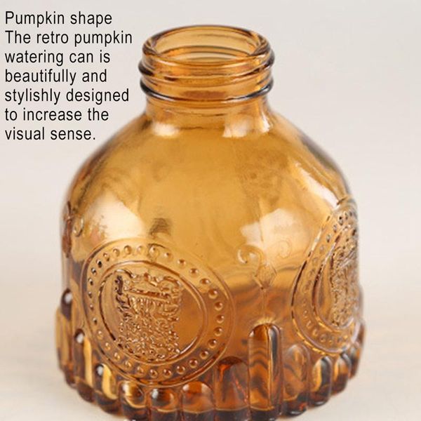 

watering equipments glass bottle plant sprayer can with plastic pump for indoor plants succulent