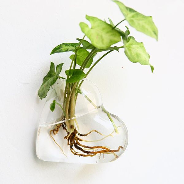 

vases wall hanging fish bowl glass wall-mounted plant pot tank decoration planter ye-