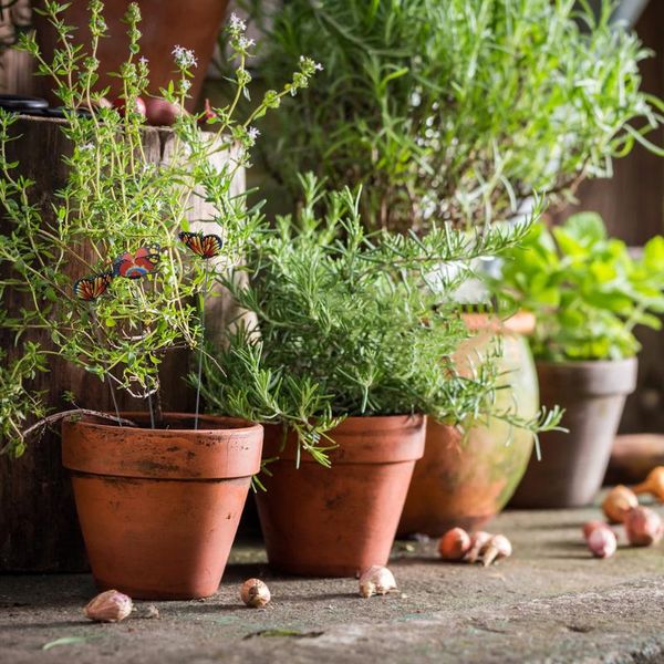 

garden decorations 24pcs simulated rods dragonfly 3d crafts ornaments