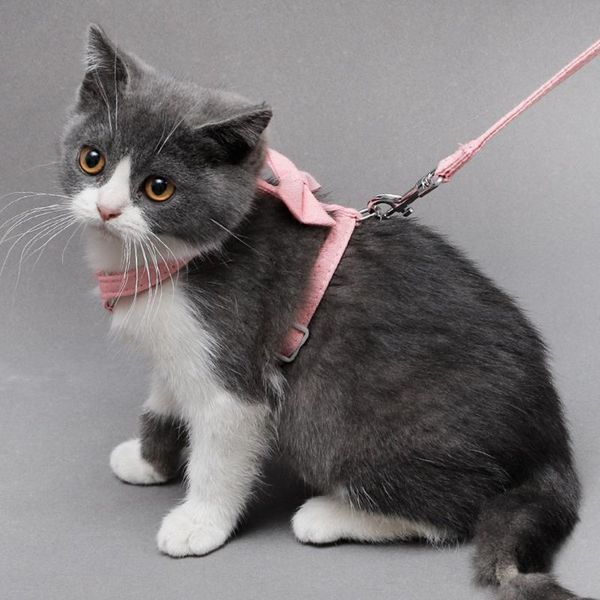 

cat collars & leads fashion leash solid color collar bowknot decor chest strap pet harness set clothing accessories supplies