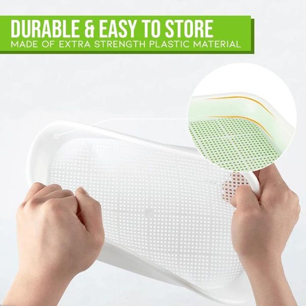 

germination sprouting tray grow labels nursery planting box pots props set planters &