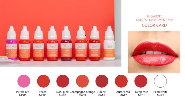 

tattoo inks mastor original pure plant lip ink permanent makeup pigment kit
