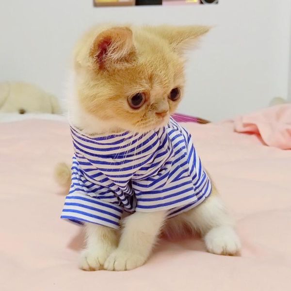

cute stripe pet cat vest shirt summer cotton clothing clothes for cats outfit pets animals kedi katten ropa para gatos costumes