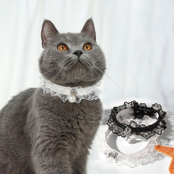 

cat collars & leads collar pet kitten puppy pearl pendant choker necklace, neck 22cm-32cm