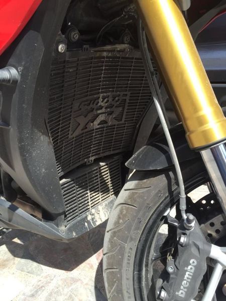 

xr compatible radiator guard 2021-2021 atv parts