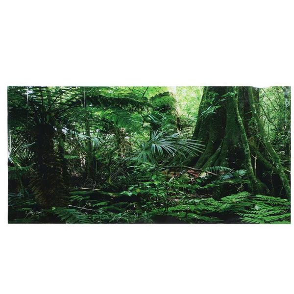 

decorations fish tank aquarium background rainforest poster picture decoration accessories