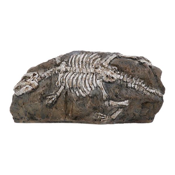 

decorations 1pc fossil ornament fish tank aquarium resin landscaping decoration craft creative