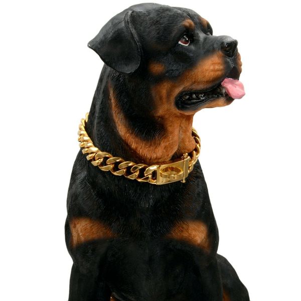 Catena cubana da 15 mm Collari per cani placcati oro in acciaio inossidabile 316L Corgi Bulldog Teddy Puppy Collana