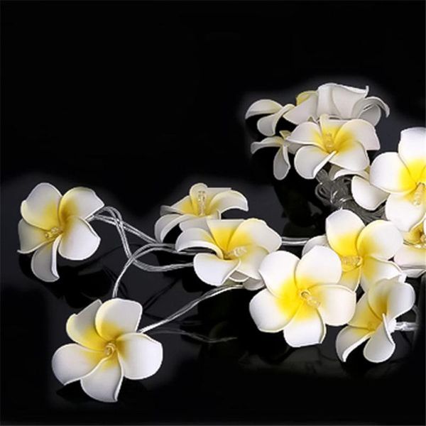 

strings thrisdar 10pcs 2m wine bottle string lights with cork battery operated christmas starry fairy for wedding party
