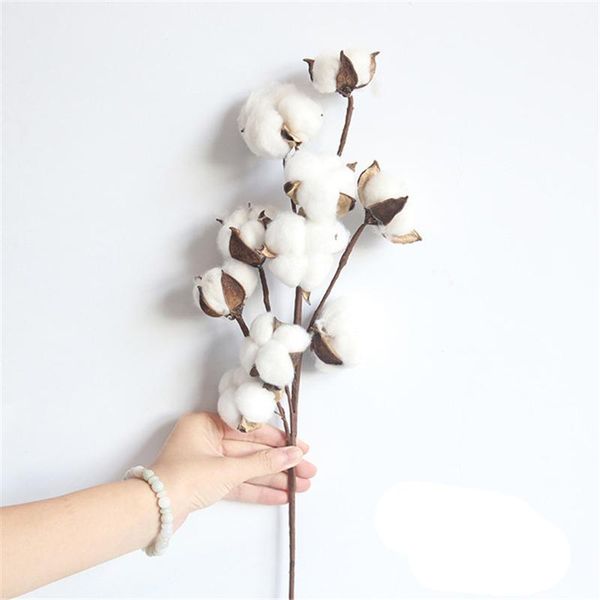 

10heads naturally dried cotton flower branches branch for home decor diy wedding decoration artificial xx194 decorative flowers & wreaths