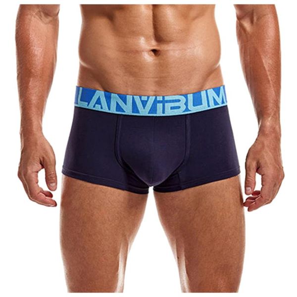 

underpants solid boxers shorts underwear pant men's knickers fashion, Black;white