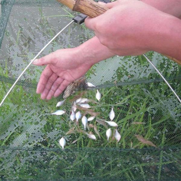 

portable 60*60cm folding fishing net open baits cage mesh outdoor gear accessories foldable sh u9p2