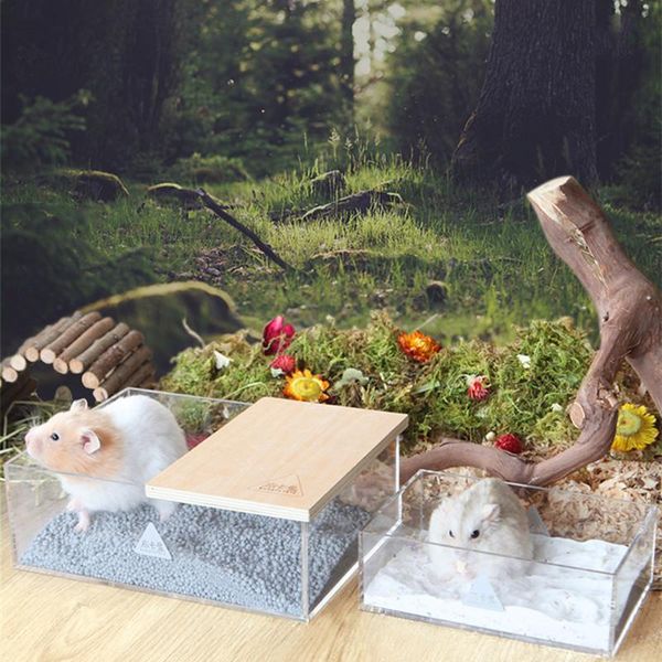 

small animal supplies hamster bathroom acrylic transparent golden bear large size toilet sand basin accessories