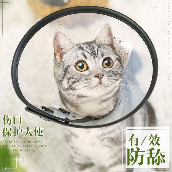 

black breakaway cat collar adjustable anti flea luxury safety elastic small gatos accesorios pet accessories qoo50qy collars & leads