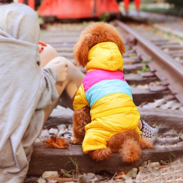 

dog apparel hoopet winter warm cat skiwear hoodie fleece lined four-leg coat puppy kitten sweater jumpsuit clothes pet jacket