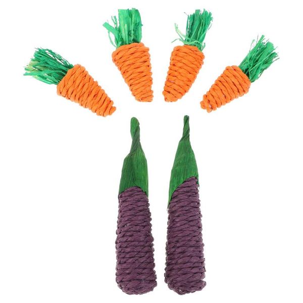 

small animal supplies 6pcs molar for pets guinea pigs bite resistant toys