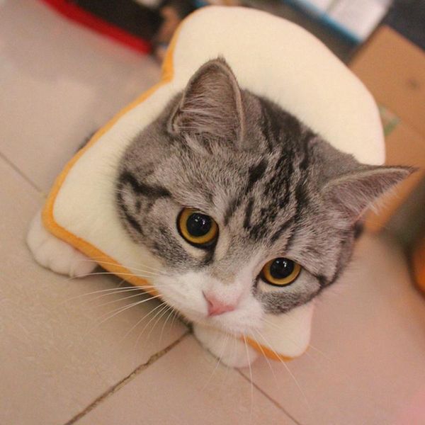 

cat collars & leads household pet supplies bread shaped soft cotton wound ring for pets home depot and convenient