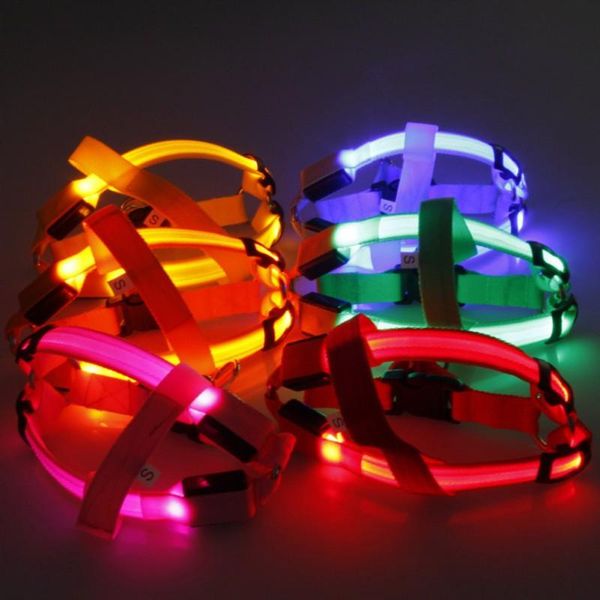 

dog collars & leashes pet cat led harness flashing collar vest safety lighted dogs luminous fluorescent