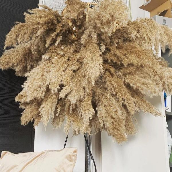 

decorative flowers & wreaths dried pampas secas grandes real plants branch grass decor phragmites flower wedding arrangement home decoration