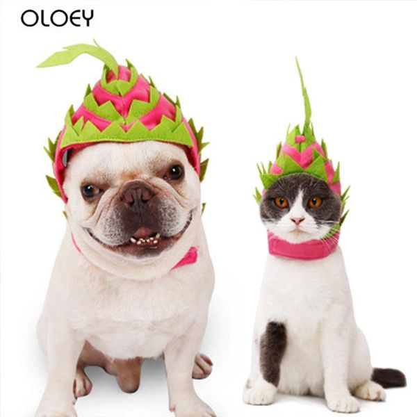 

dog apparel funny christmas clothes warm pet cat puppy dragon fruit cute dogs cloak cats costume home decor