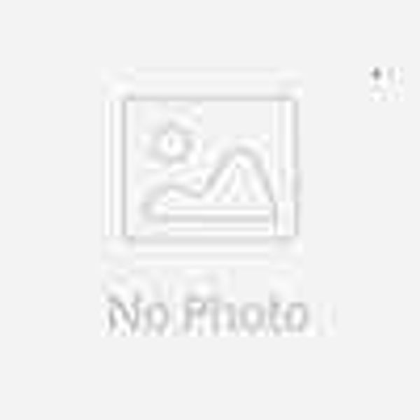 

lingerie 2021 modena lace lingerie set 15615, Red;black