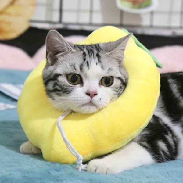 

printed pet elizabeth collar soft cotton dog cat adjustable wound healing prevent bite neck ring protection collars & leads