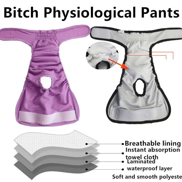 

dog apparel pet physiological pants waterproof menstrual big aunt panties