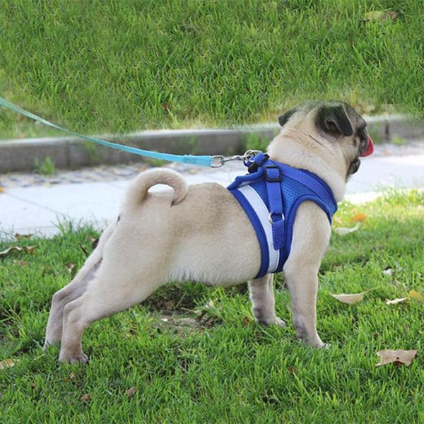 

dog collars & leashes 2021 adjustable harness vest walking lead leash kitten puppy dogs leads pet clothes for small drop
