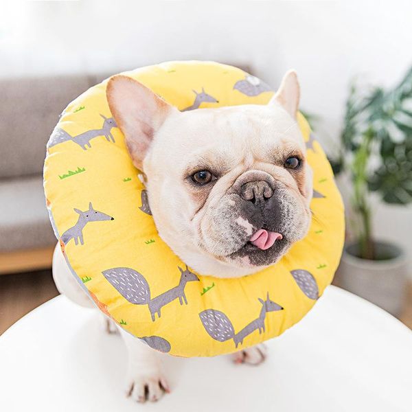 

dog collars & leashes padded recovery collar for dogs and cats, remedy protective lick caught soft sponge adjustable posrative kit