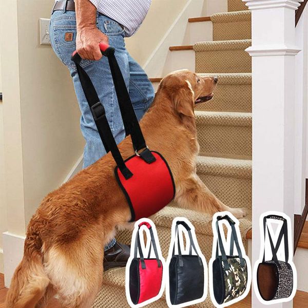 

dog collars & leashes [tailup] harness vest lift support pet accessories dogs collar christmas auxiliary old full help py0016