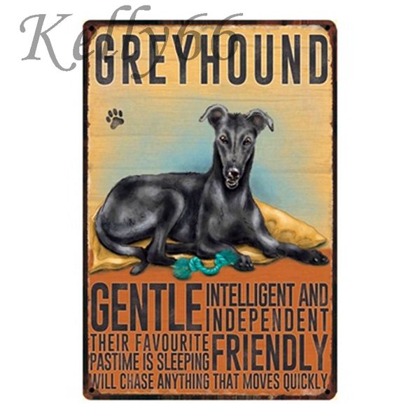 

greyhound dachshund pug border collie chihuahua shih tzu bulldog dog tin metal sign painting 20*30 cm size y-1164