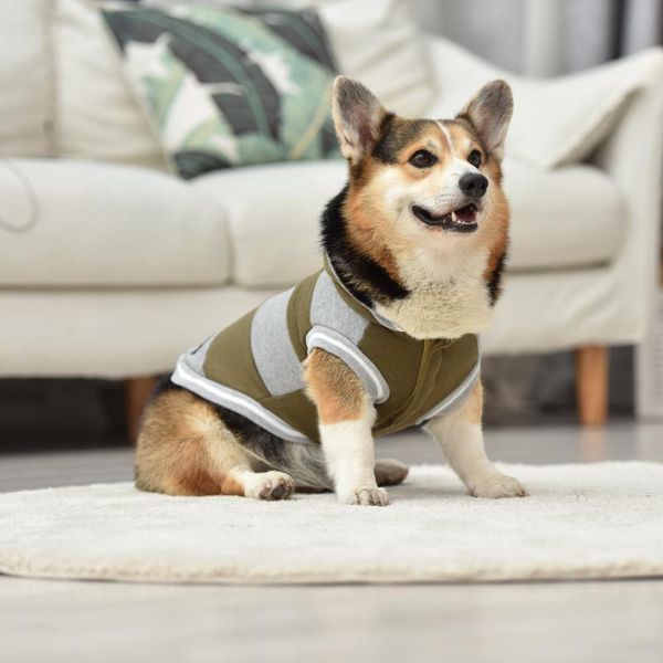 

dog apparel pet clothes comfortable soft thick warm sweatshirts fashion autumn hoodie coat for small medium teddy