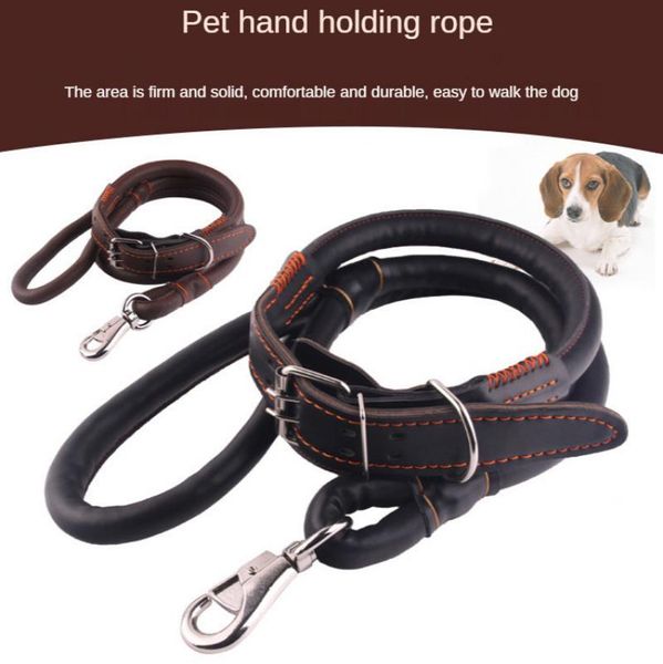 

dog collar pet training accessories adjustable leash for large solid color outdoor walking supplies collars & leashes