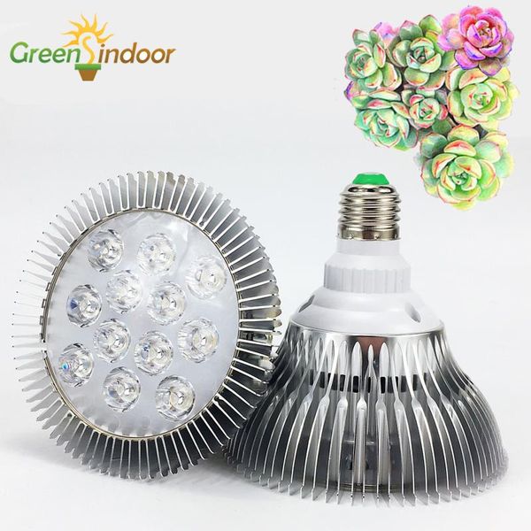 

fitolamp full spectrum led grow light 10w 30w 50w 80w red blue uv ir growth lamp for hydroponics flowers plant vegetable growing lights