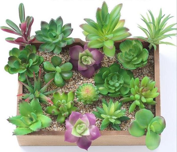 

artificial succulents plants succulent for living room as home decoration plant ds03 decorative flowers & wreaths