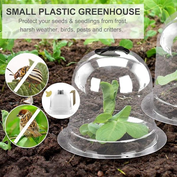 

planters & pots garden cloche plant bell cover anti-e jar nail plastic mini greenhouse for frost e cold protection grow box